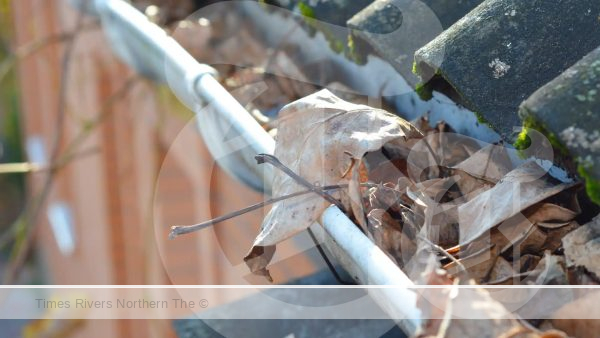 How to Keep Gutters Clean