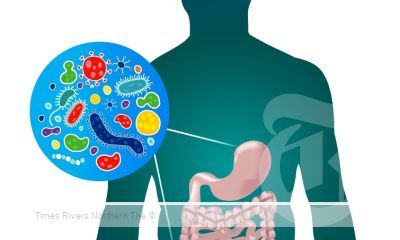 Gut microbiome and gene editing