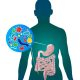 Gut microbiome and gene editing