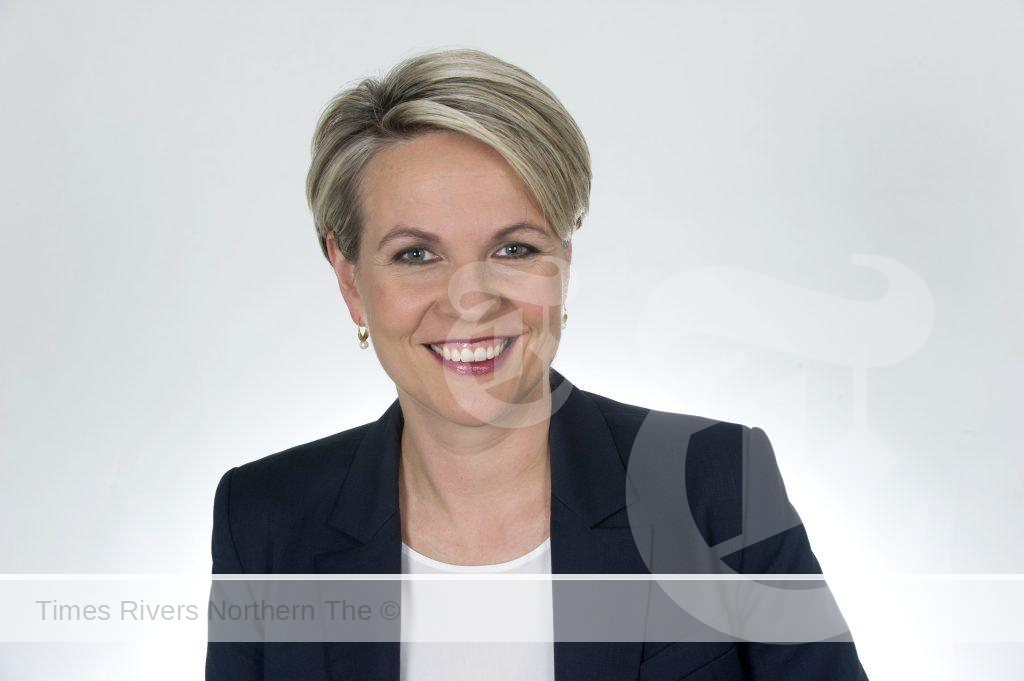 Federal Environment Minister Tanya Plibersek 