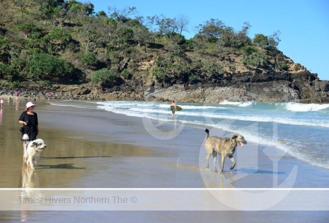 Byron Shire Council is making no apology for issuing fines to people who aren’t keeping their dogs on leads in public places.