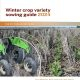 Winter crop variety sowing guide 2024