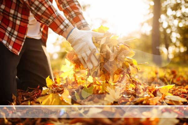 Managing Autumn Leaves