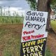 Last ditch bid to save Ulmarra ferry