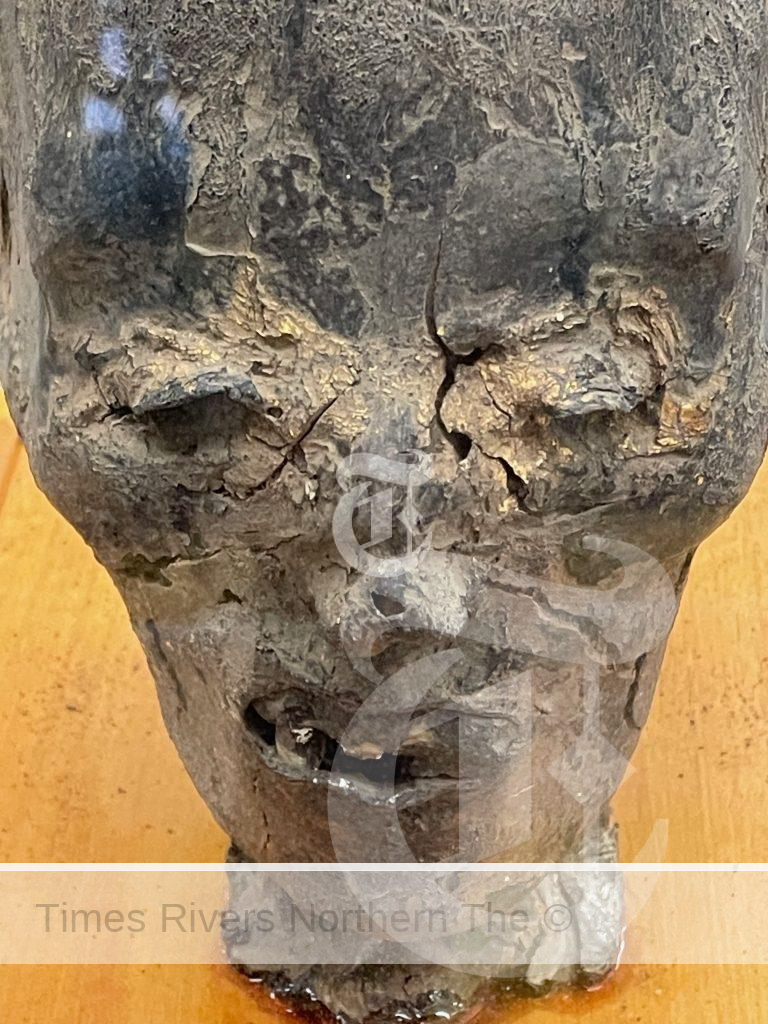 The Grafton High School Mummy Mummified Head