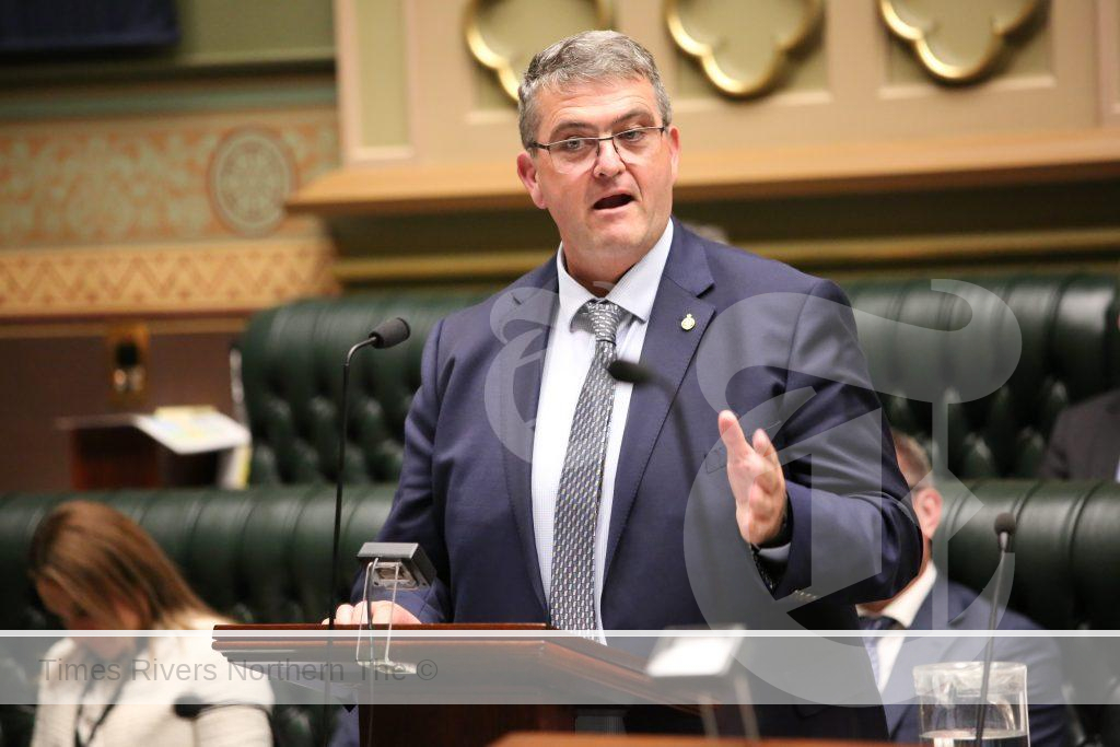 The Member for Clarence Richie Williamson addressing NSW Parliament. On Wednesday he will speak about the community petition seeking to keep the Ulmarra Ferry operational.