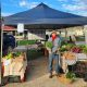 Toby O'Grady selling produce at the Murwillumbah Farmers Markets