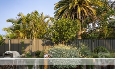 Colorbond fencing options