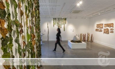 Installation view of the 2023 Climate Conversations project ‘Mending & Tending: Art that works for Nature’, 2023. Photo by Jaka Adamic.