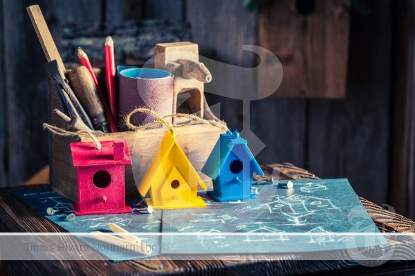 How to Make a Birdhouse