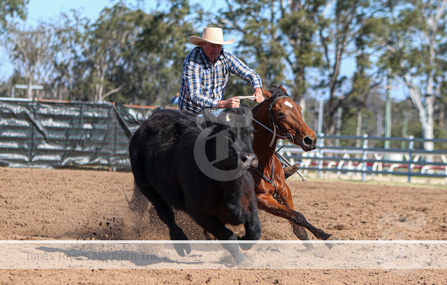 Casino campdraft