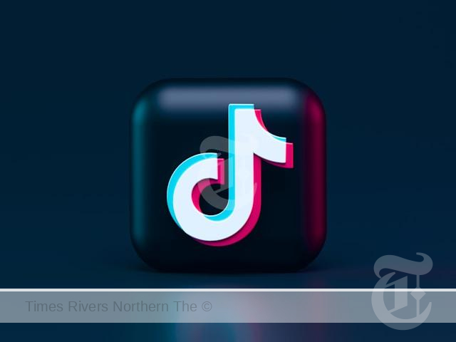 Social Media Summit Tiktok Logo