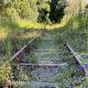 Byron Greens Endorse Rail Trail