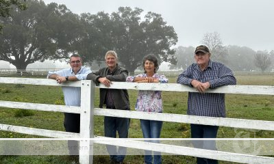 Northern Rivers Public Reserve Copmannhurst Recreation Reserve