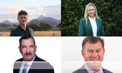 Tweed Shire Candidates