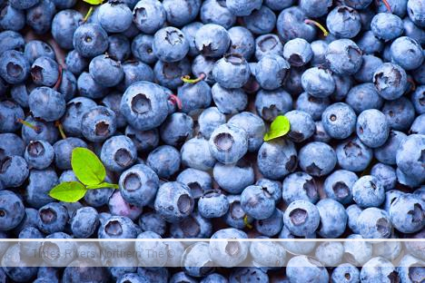 Blueberry Prices