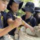 Students learnt about blue-banded bee Blakebrook conservation, making bee hotels to take home.