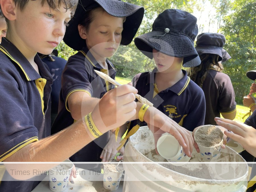 Students learnt about blue-banded bee Blakebrook conservation, making bee hotels to take home.