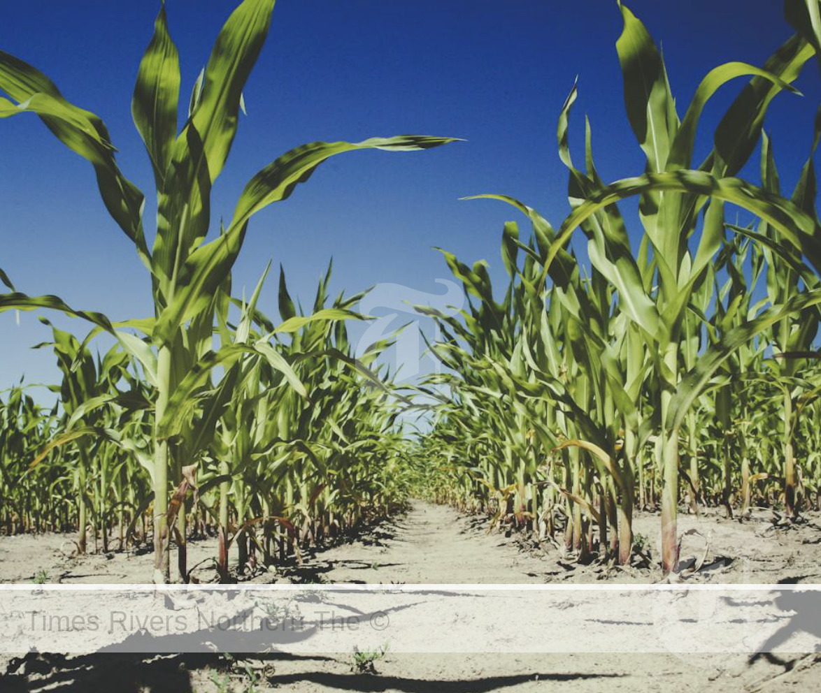 Seasonal Drought Forecast