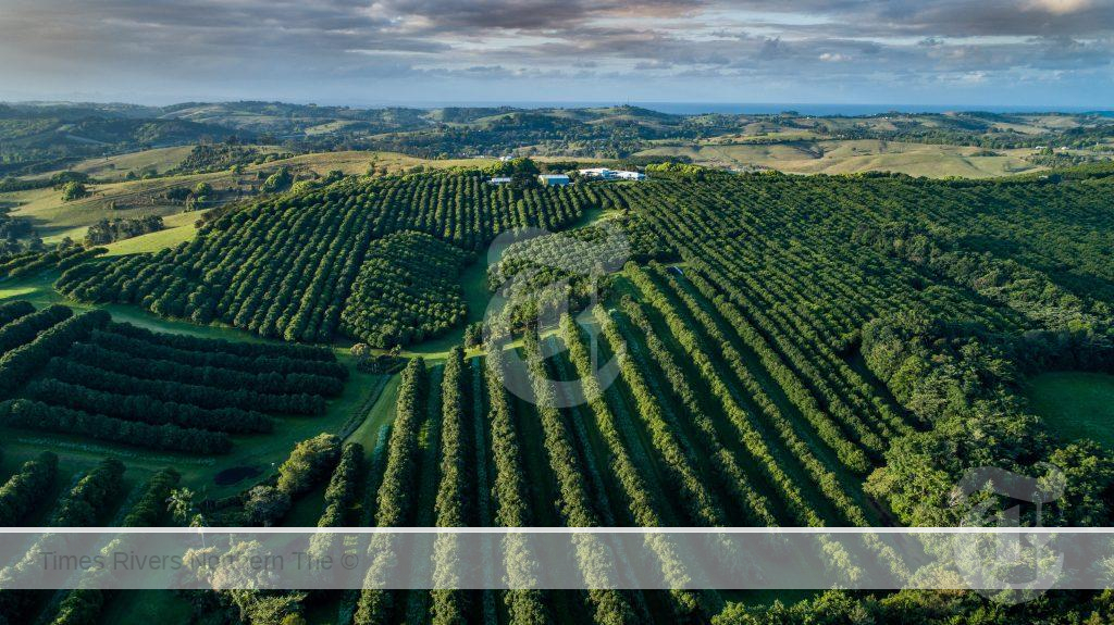 Macadamia Farms Global interest